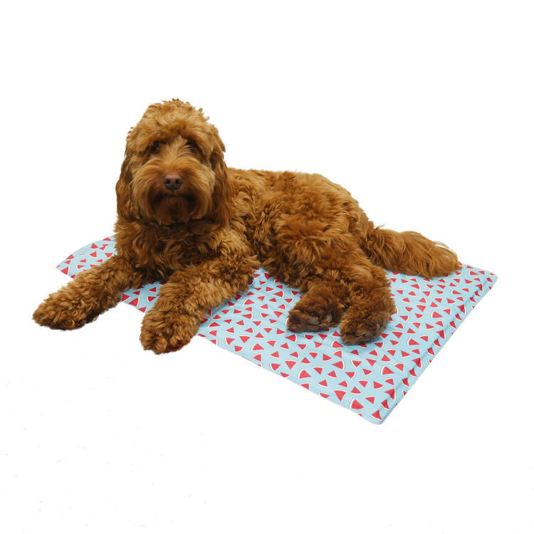 Rosewood Chillout Coolmat Watermelon Rectangle 65 x 50cm