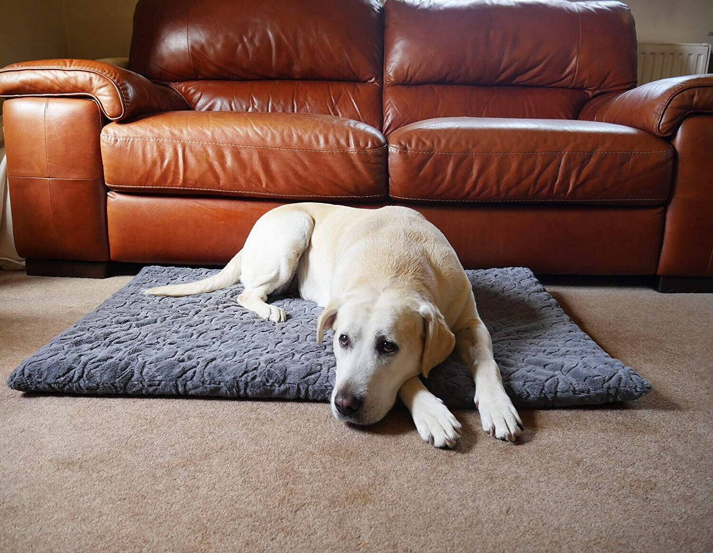 Rosewood Orthopaedic Bone Plush Mattress 42"