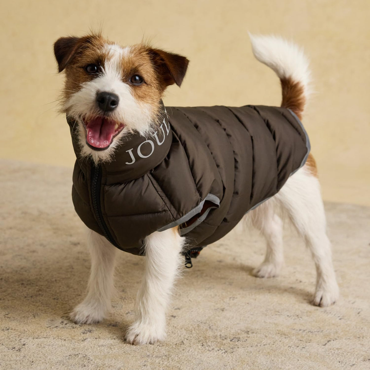 Joules Moorsdale Ketchup Puffer Coat Small Dog Jacket / Coat