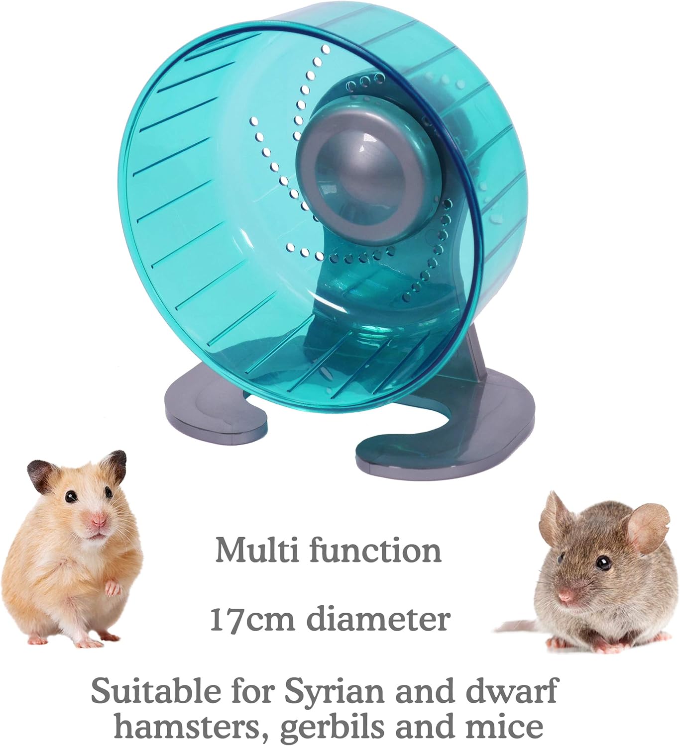 Rosewood Pico Hamster Wheel With Stand Teal
