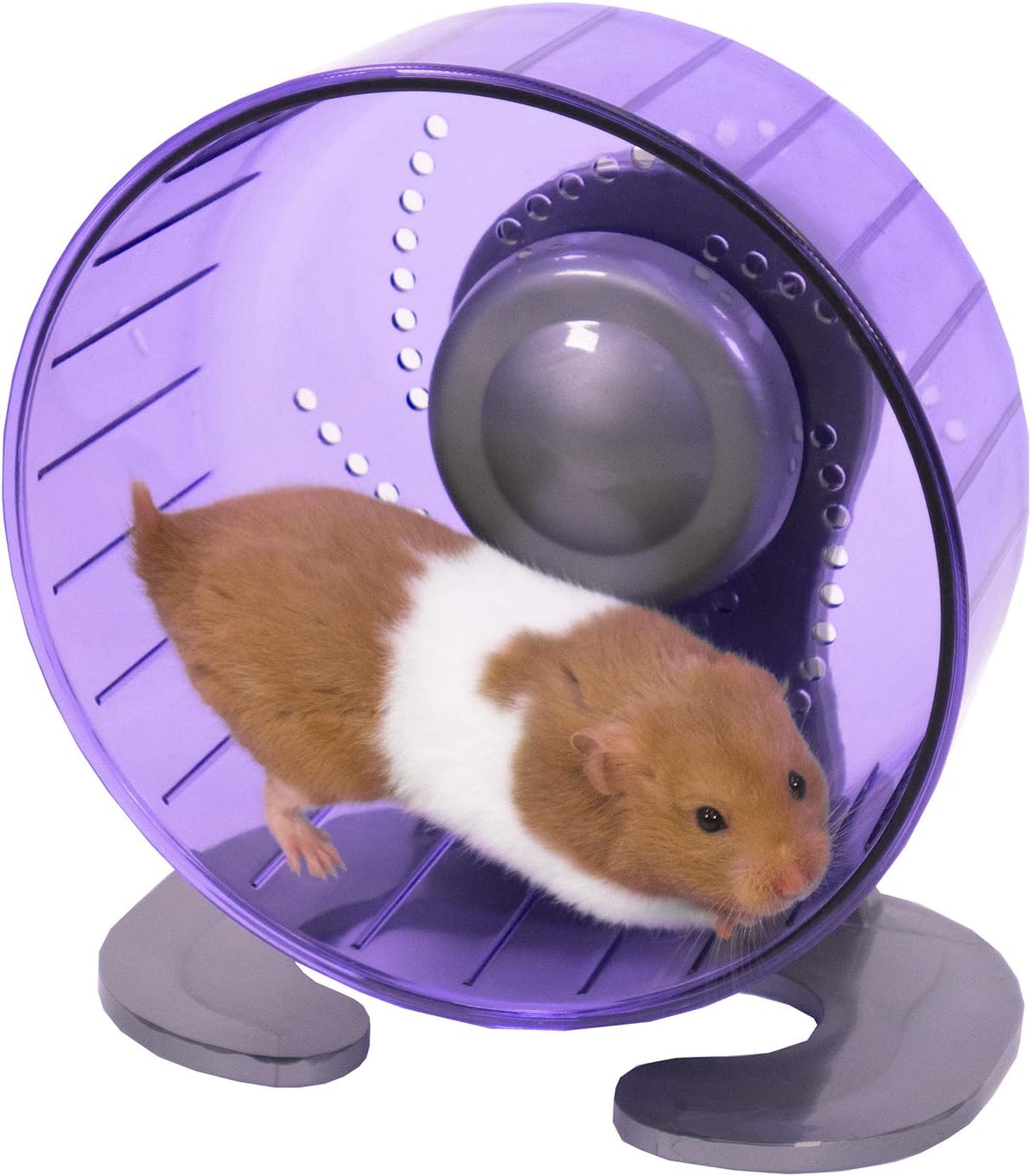 Rosewood Pico Hamster Wheel With Stand Purple