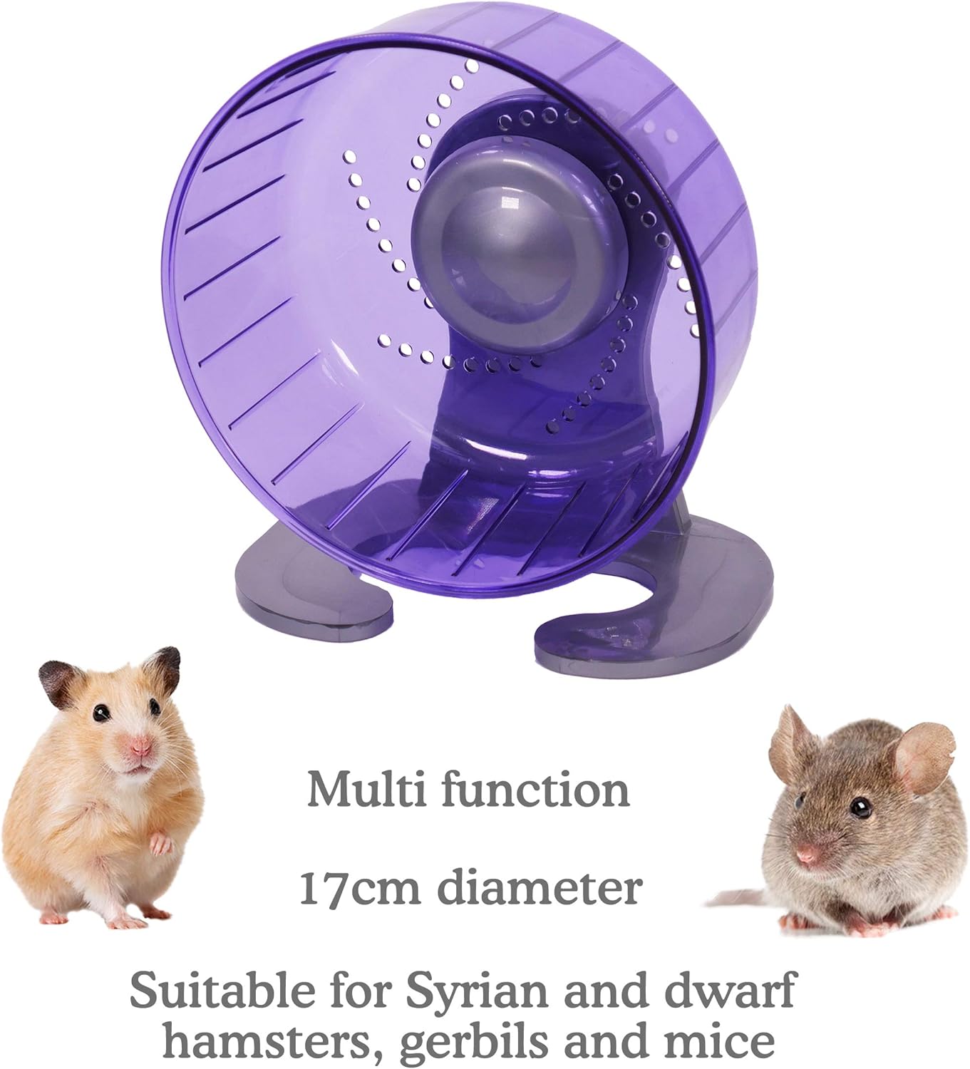 Rosewood Pico Hamster Wheel With Stand Purple