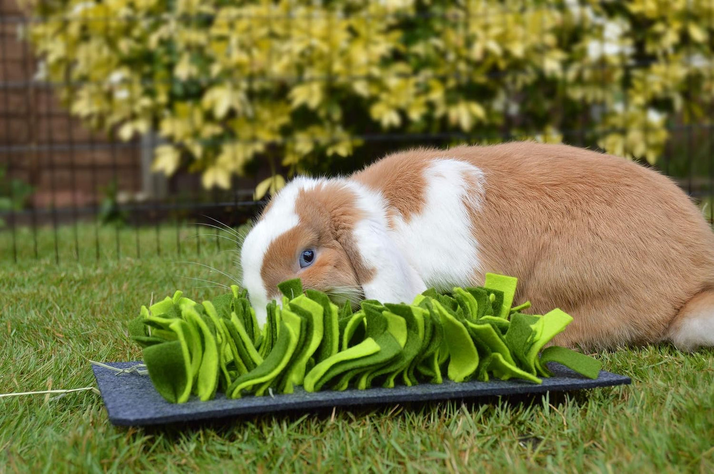 Rosewood Boredom Breaker Small Animal Snuffle Forage Mat