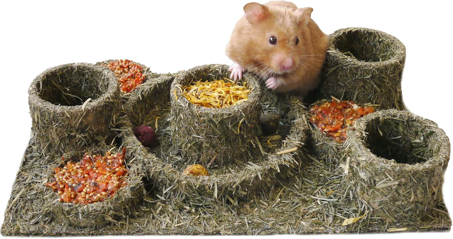 Rosewood Naturals Hay N Hide Treat Maze