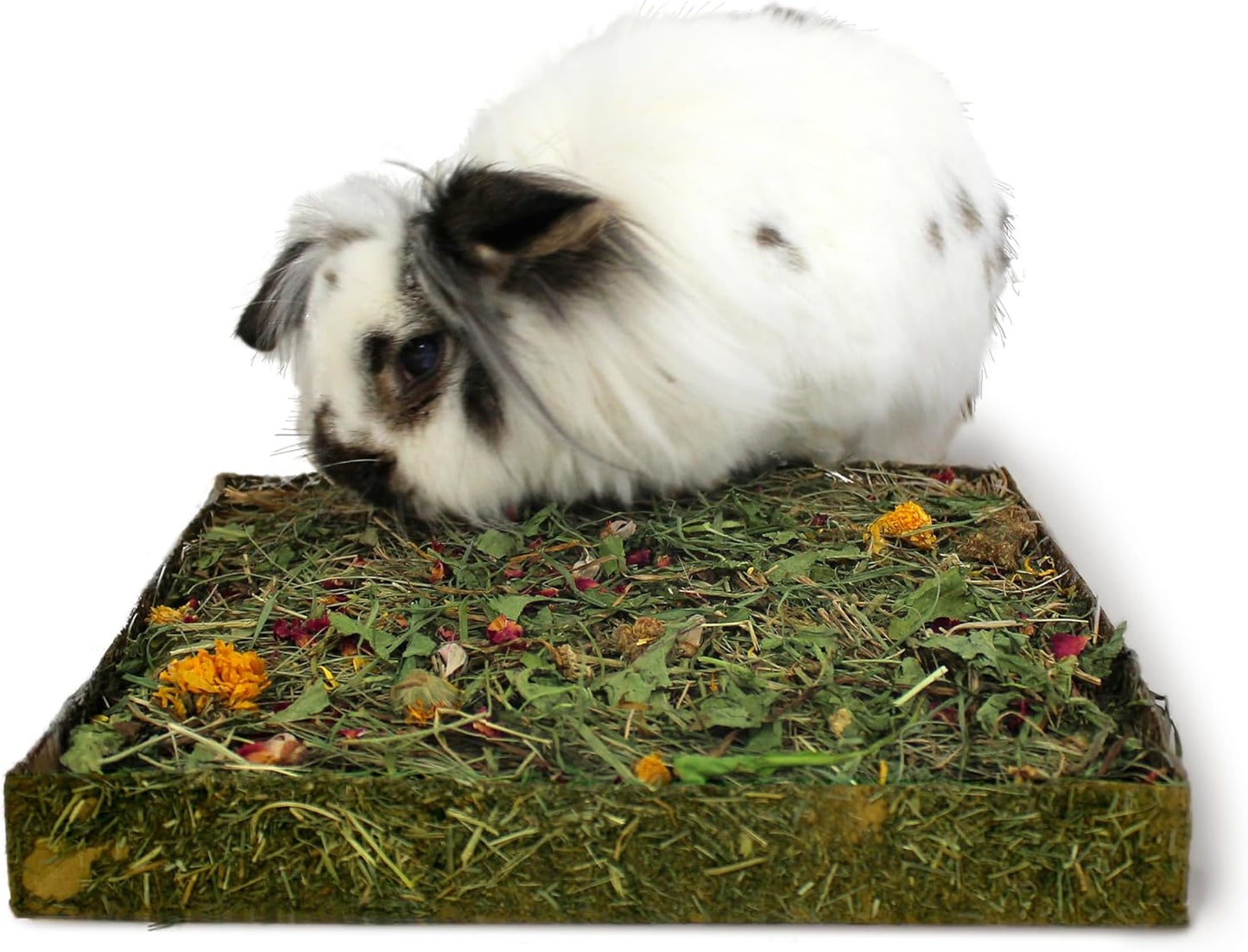 Rosewood Naturals Nibble 'n' Dig Meadow Wih Dandelion And Blossoms