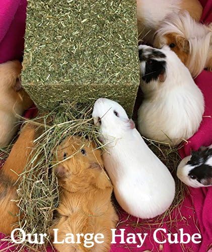 Rosewood Naturals I Love Hay Cube Large