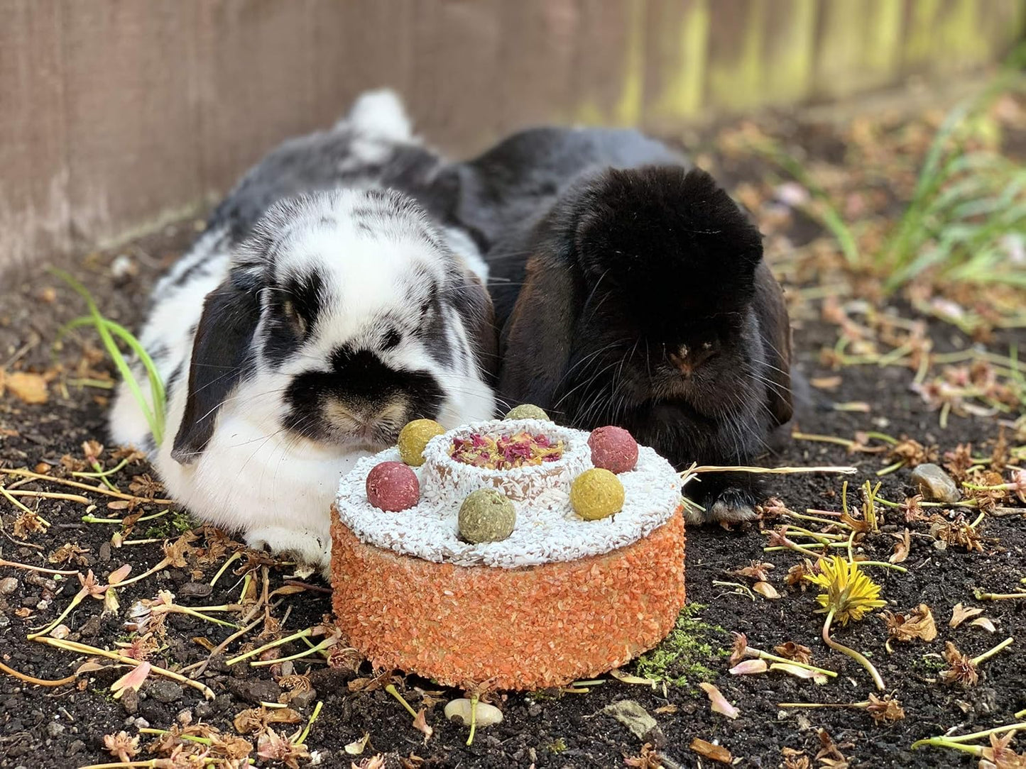 Rosewood Naturals Small Animal Celebration Cake 230g