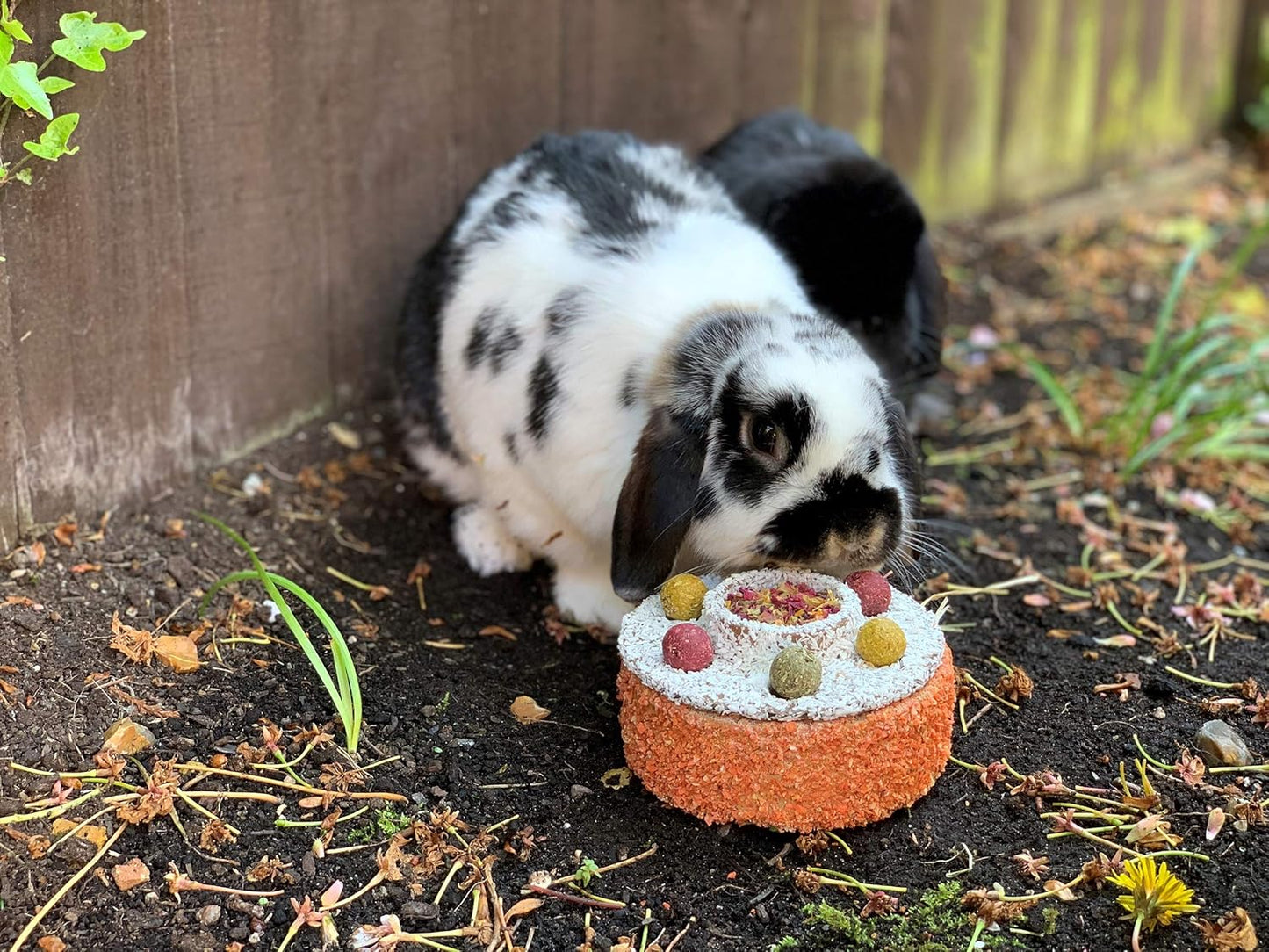 Rosewood Naturals Small Animal Celebration Cake 230g