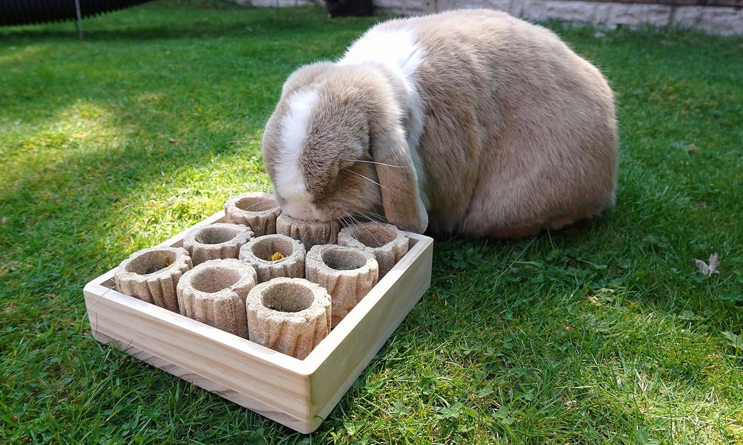 Rosewood Boredom Breaker Hide N Treat Forage Tray