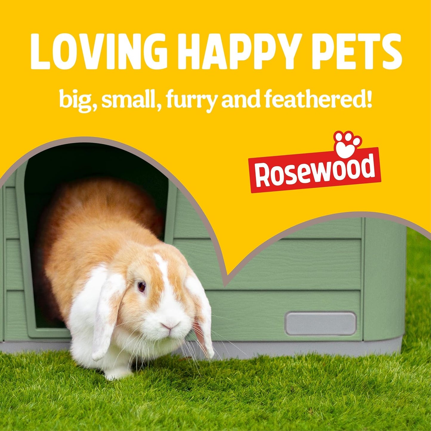 Rosewood Veggie Burst Scrummy Strawberrys 6 Pieces