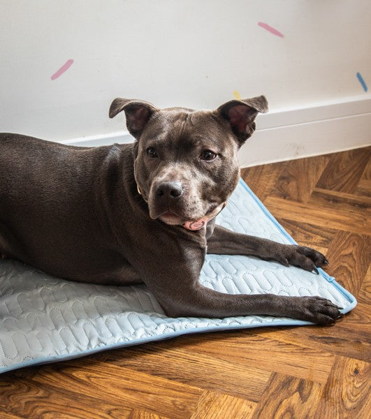 Rosewood Premium Cooling Mat & Cover