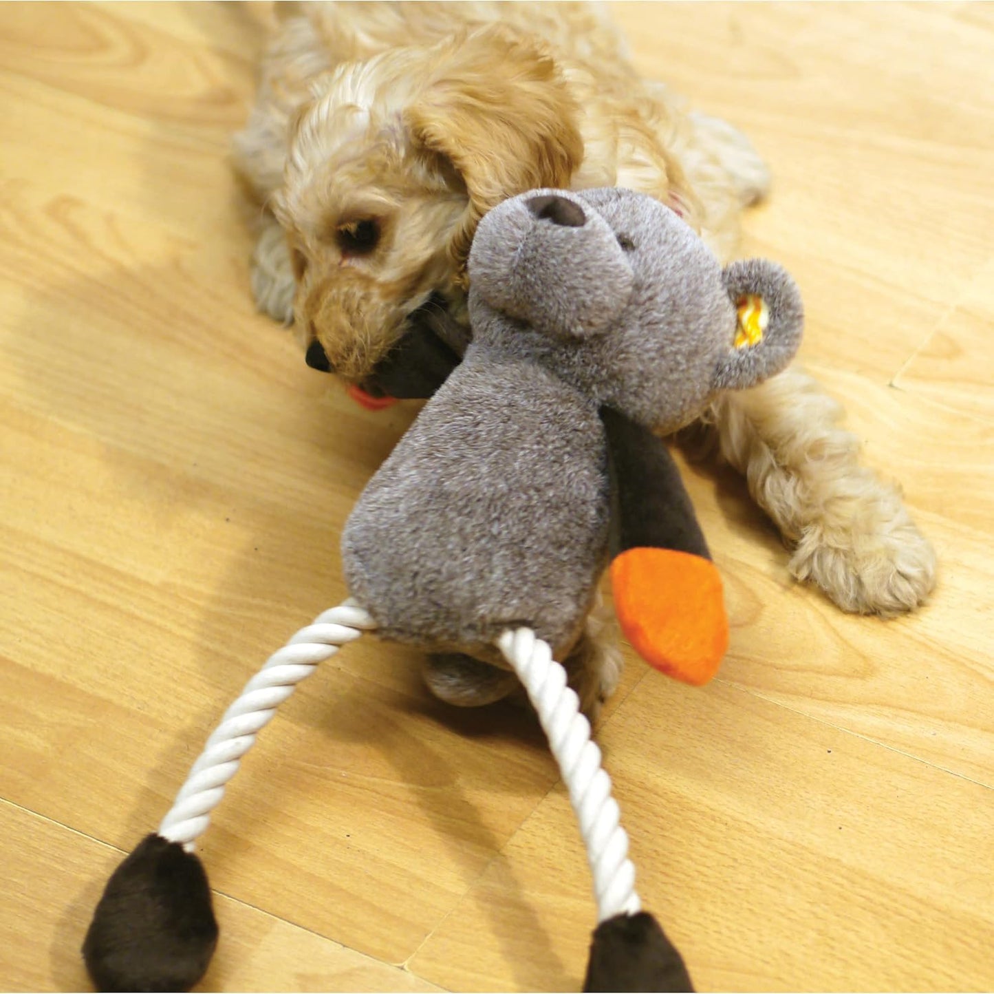 Rosewood Mr Twister Teddy Twister