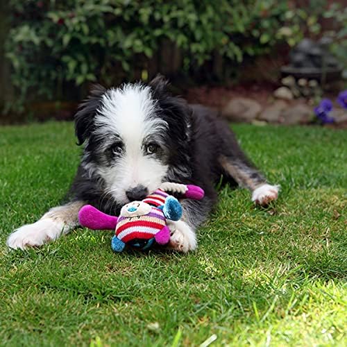 Rosewood Mr Twister Tilly Teddy
