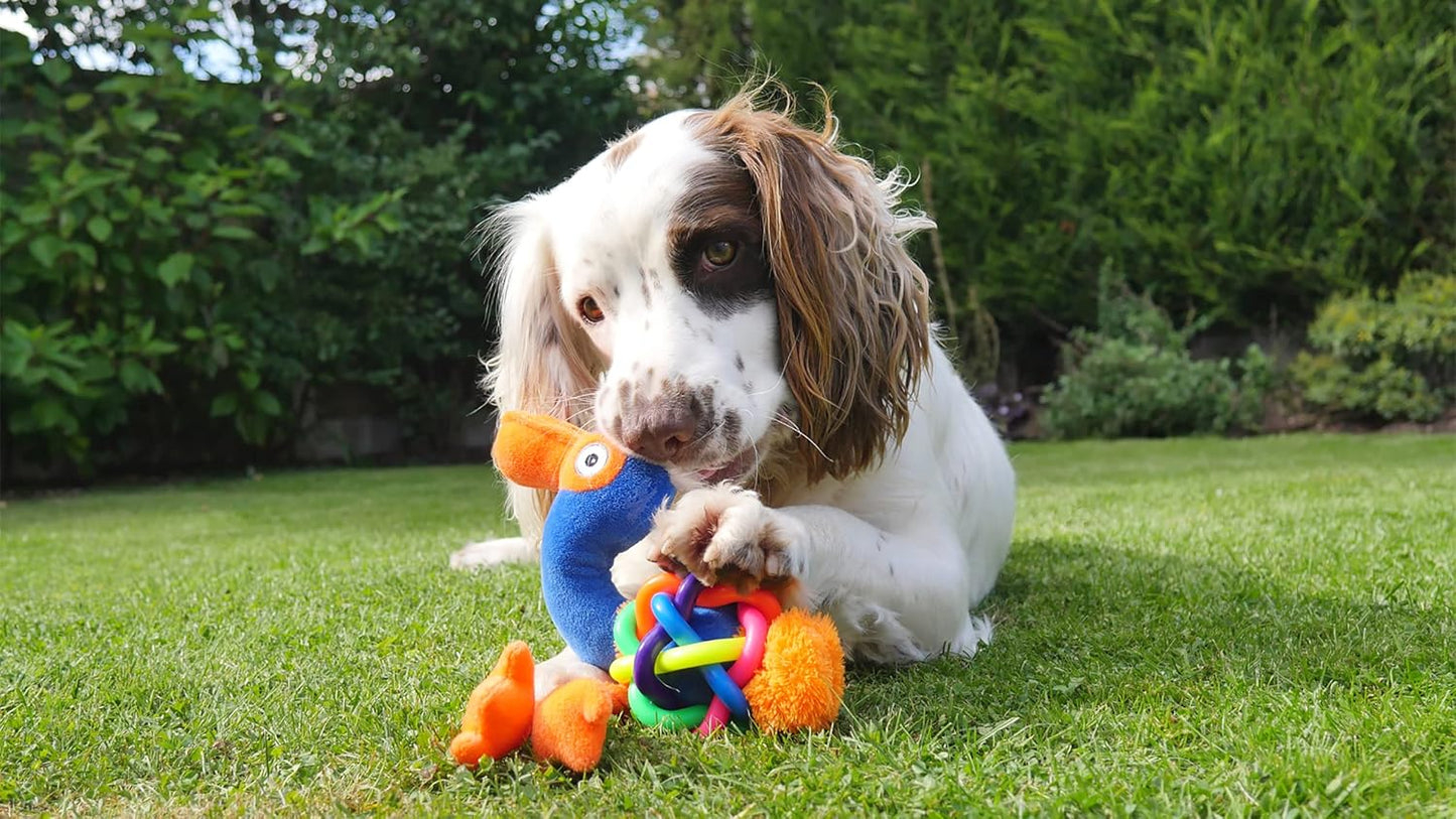 Jolly Doggy Tough Multi Textured Flamingo Small
