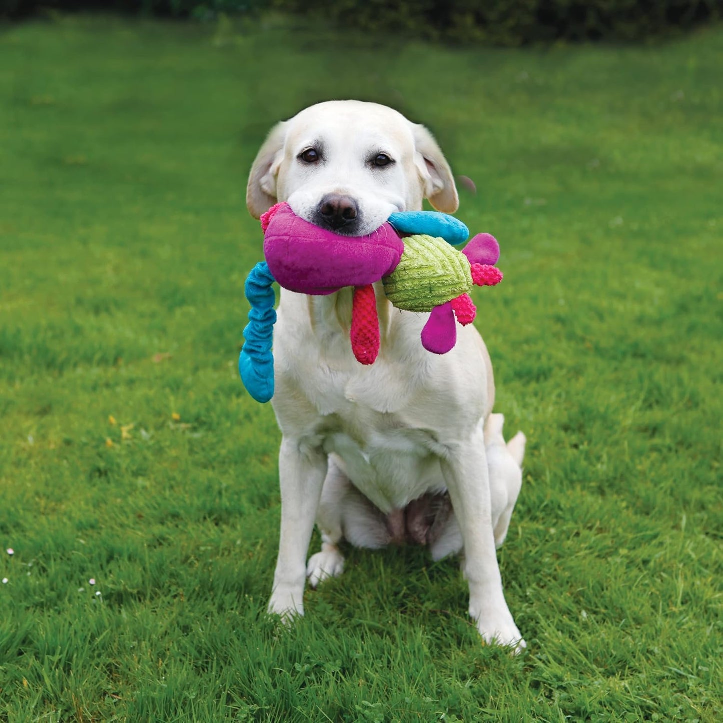 Rosewood Chubleez Chloe Cow