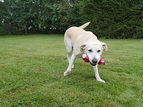 Rosewood Tough Toys Meaty Bacon Takeaway Bone Large
