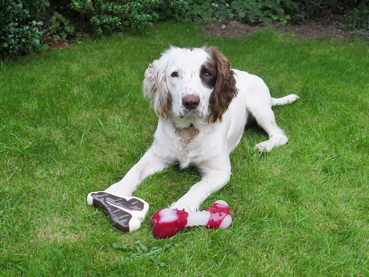 Rosewood Tough Toys Meaty Bacon Takeaway Bone Large