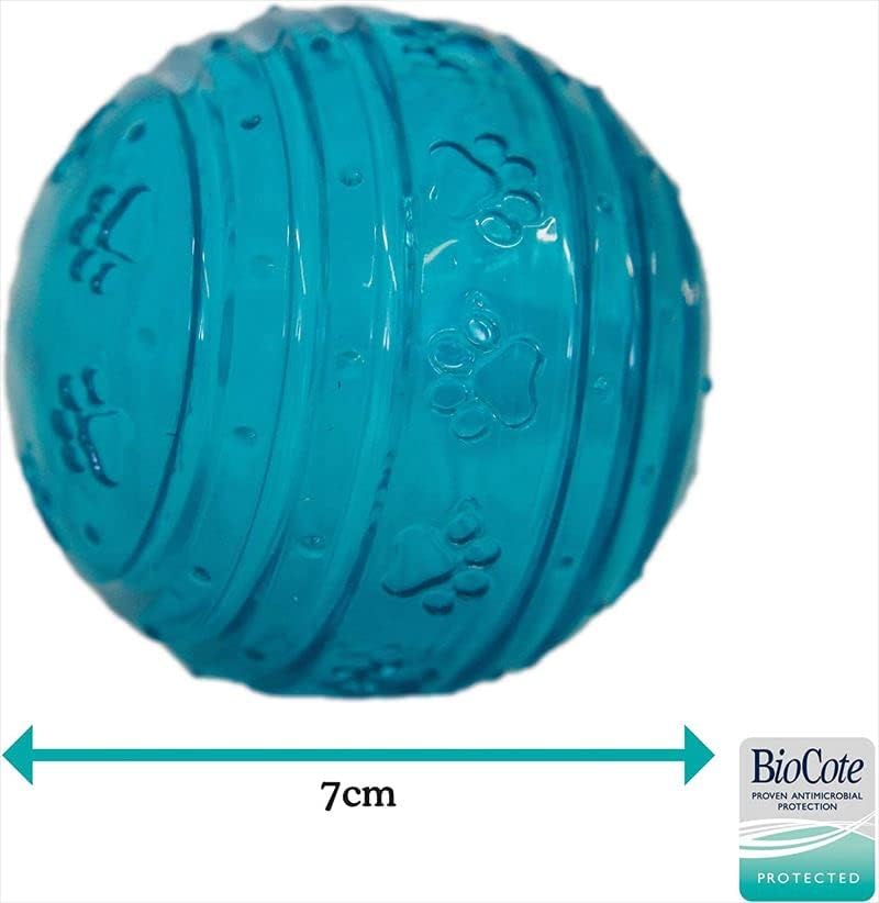 Rosewood Biosafe Puppy Ball Blue
