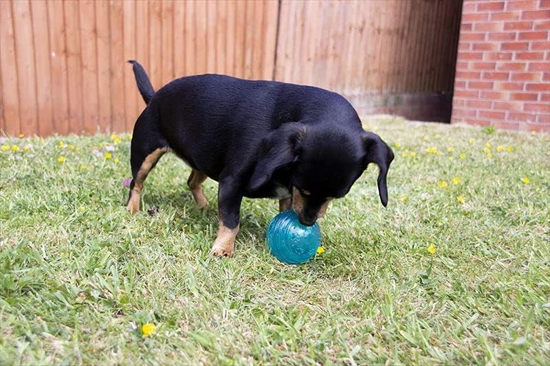 Rosewood Biosafe Puppy Ball Blue