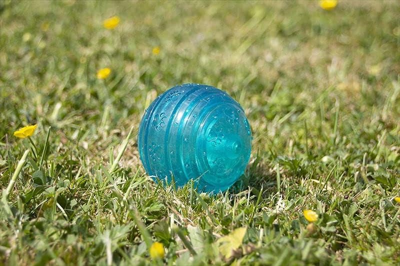 Rosewood Biosafe Puppy Ball Blue
