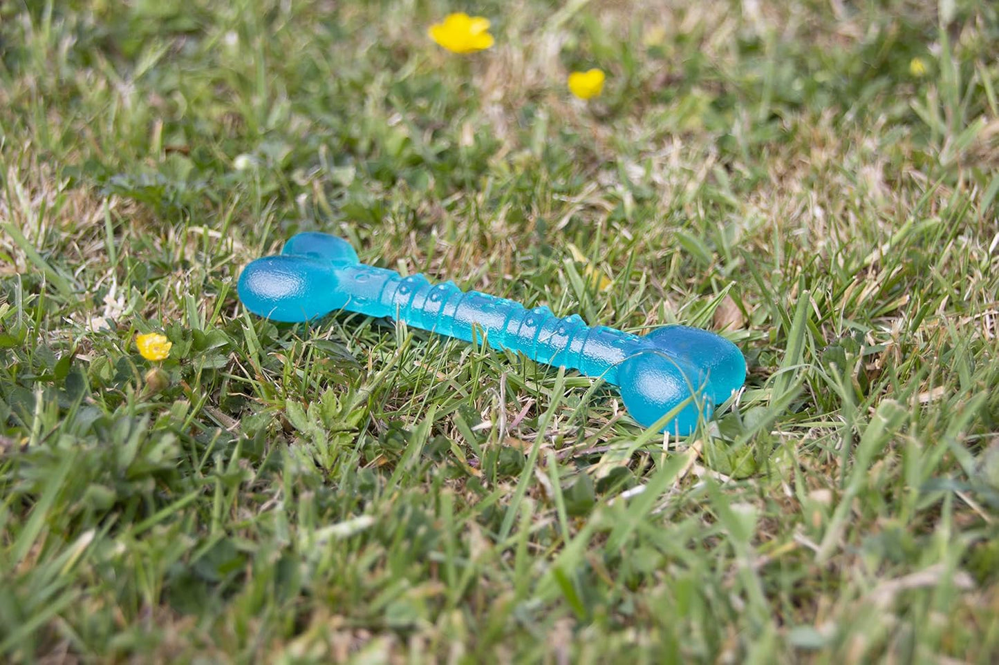 Rosewood Biosafe Puppy Bone Blue