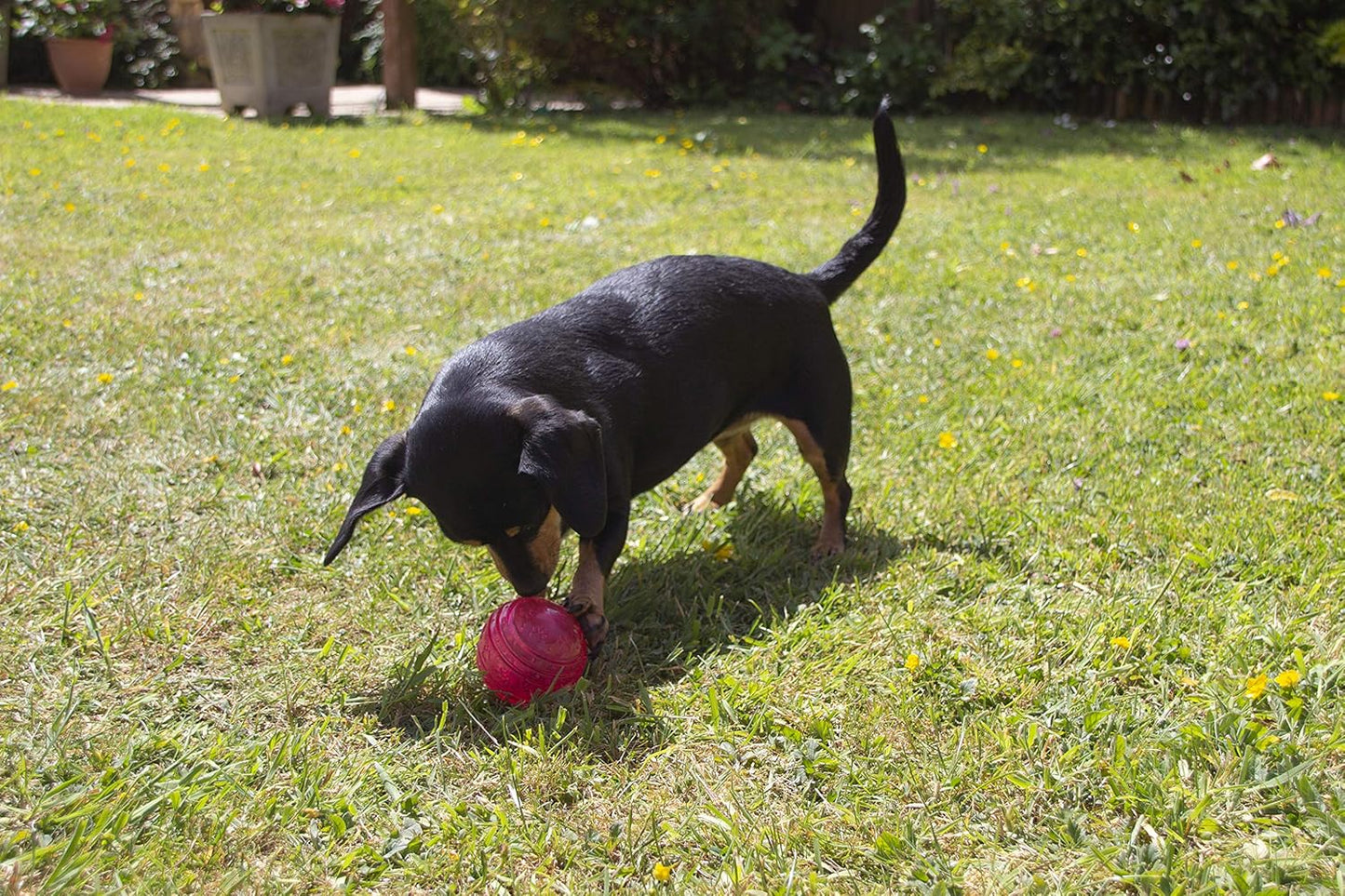Rosewood Biosafe Puppy Ball Pink