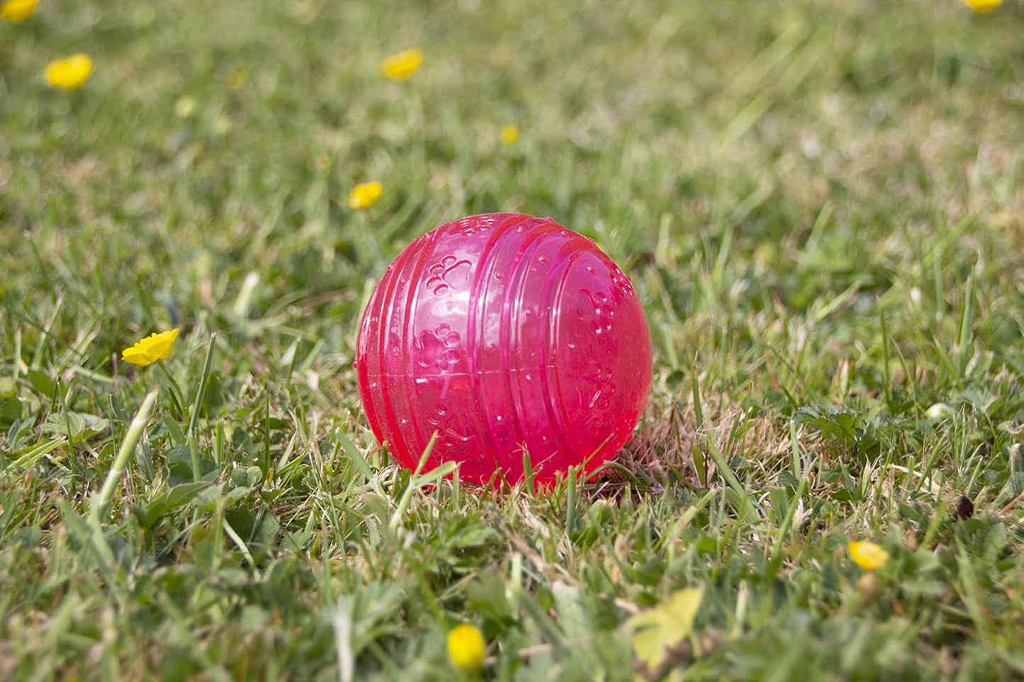 Rosewood Biosafe Puppy Ball Pink