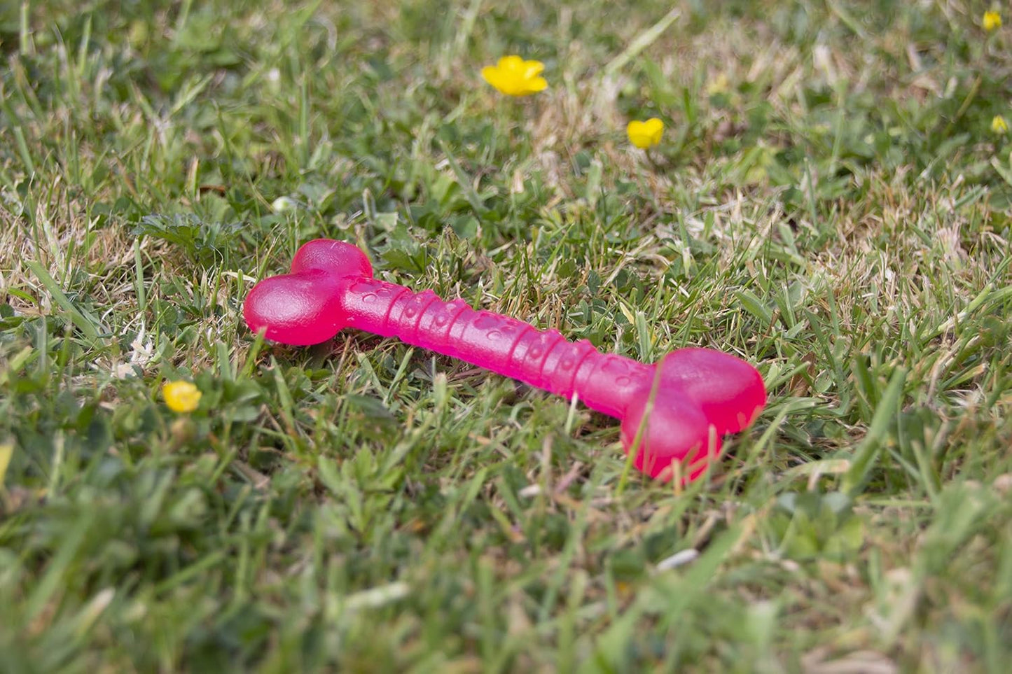 Rosewood Biosafe Puppy Bone Pink