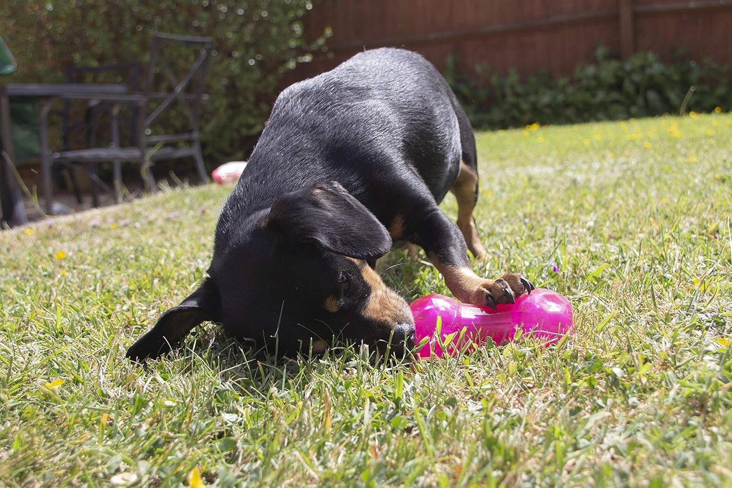 Rosewood Biosafe Puppy Dumbbell Pink