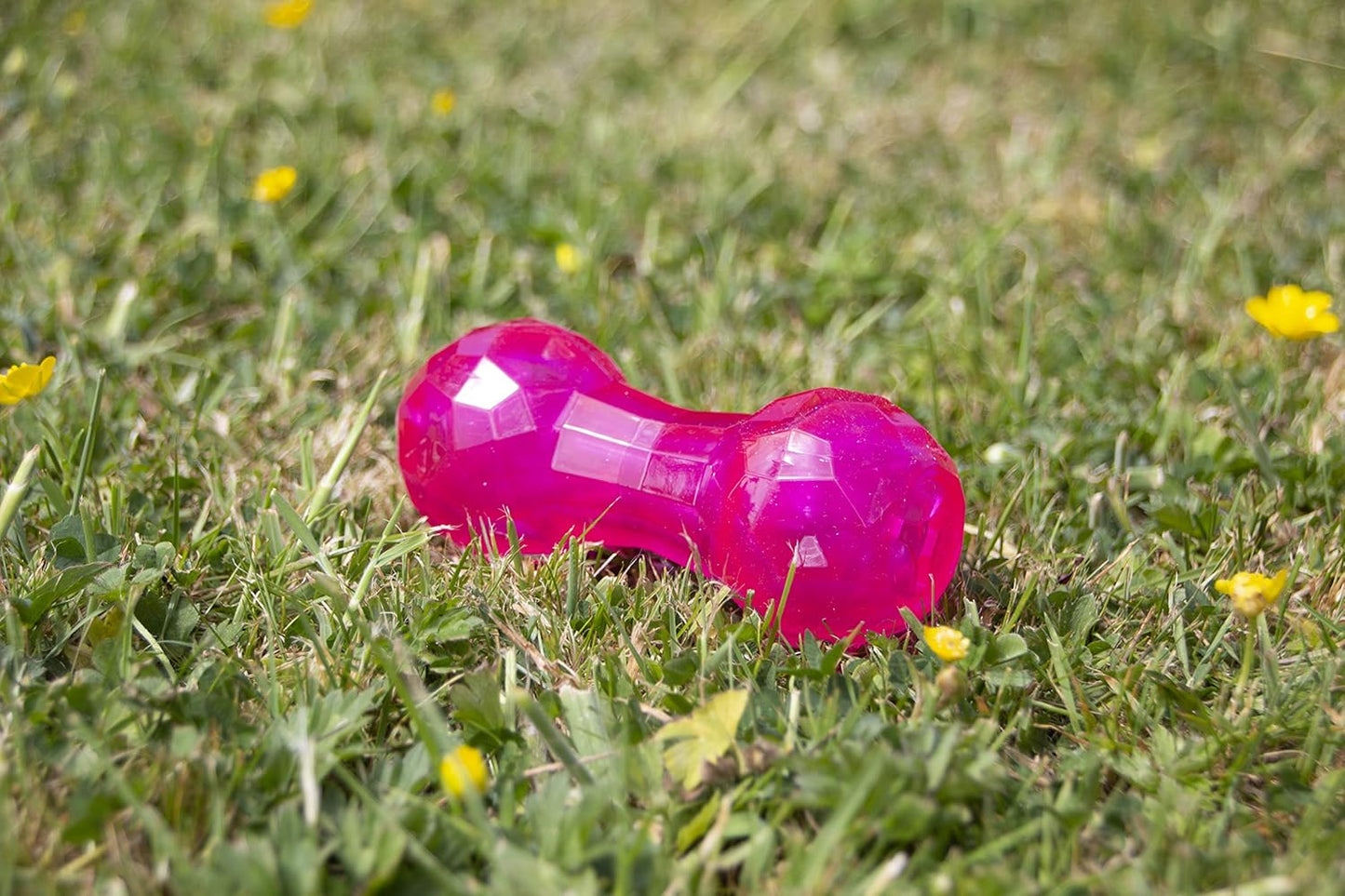 Rosewood Biosafe Puppy Dumbbell Pink