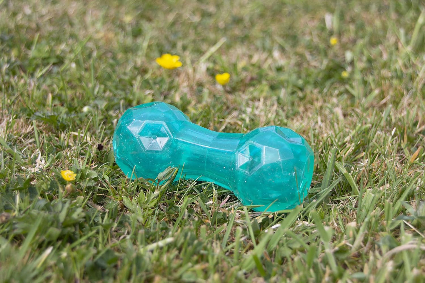 Rosewood Biosafe Puppy Dumbbell Blue