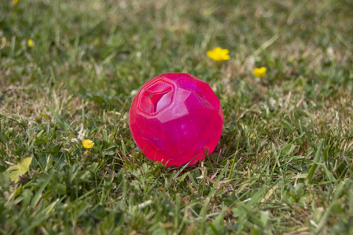 Rosewood Biosafe Puppy Treat Ball Pink
