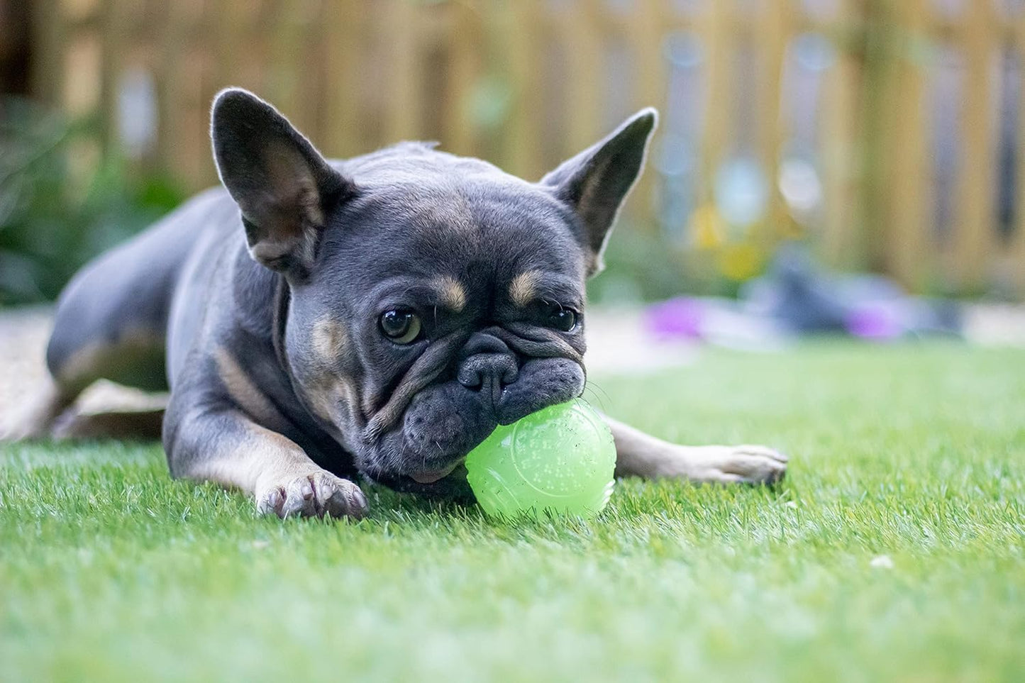 Rosewood Glow In The Dark Squeaky Football