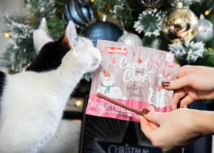 Rosewood Cupid & Comet Cat Collagen Festive Sticks 30g