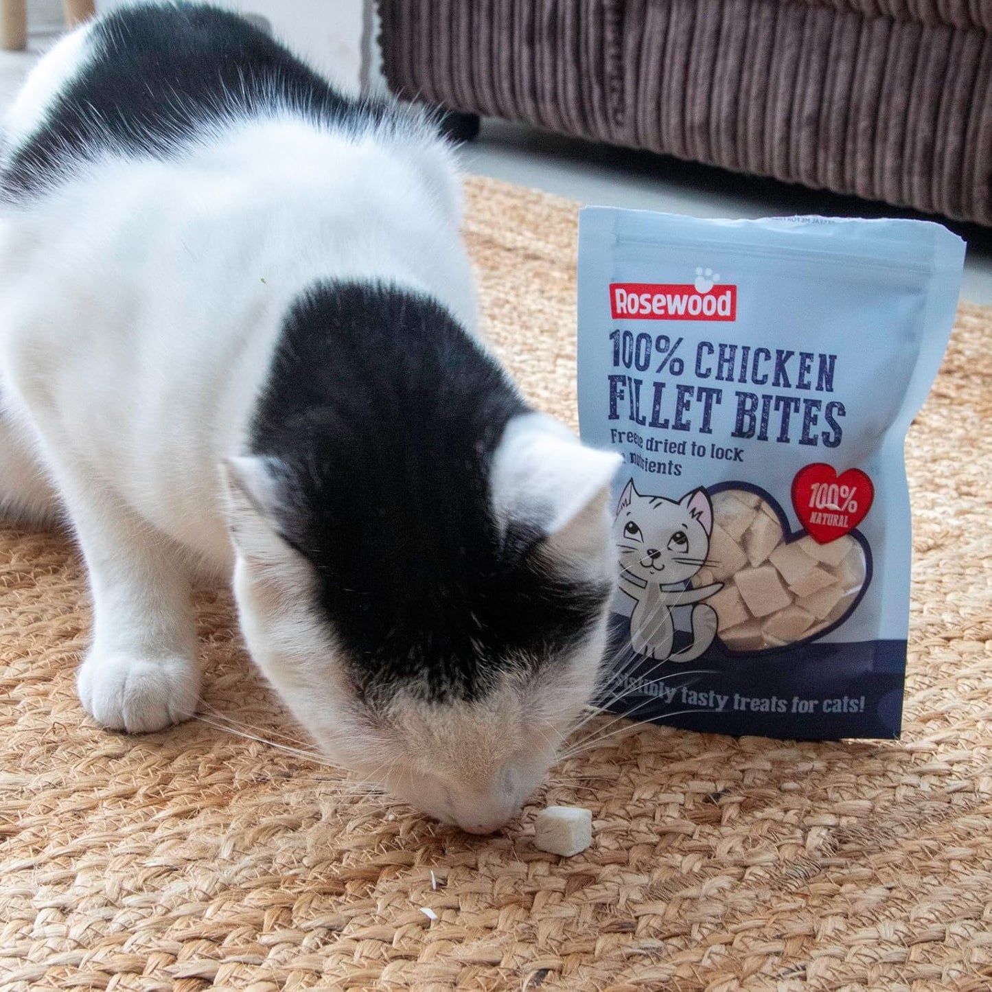 Rosewood 100% Chicken Fillet Freeze Dried Cat Treats 15g