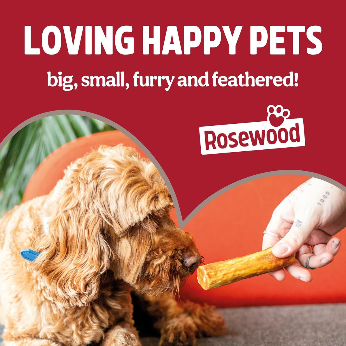 Rosewood Collagen Large Chicken Roll 70g 1 Stick