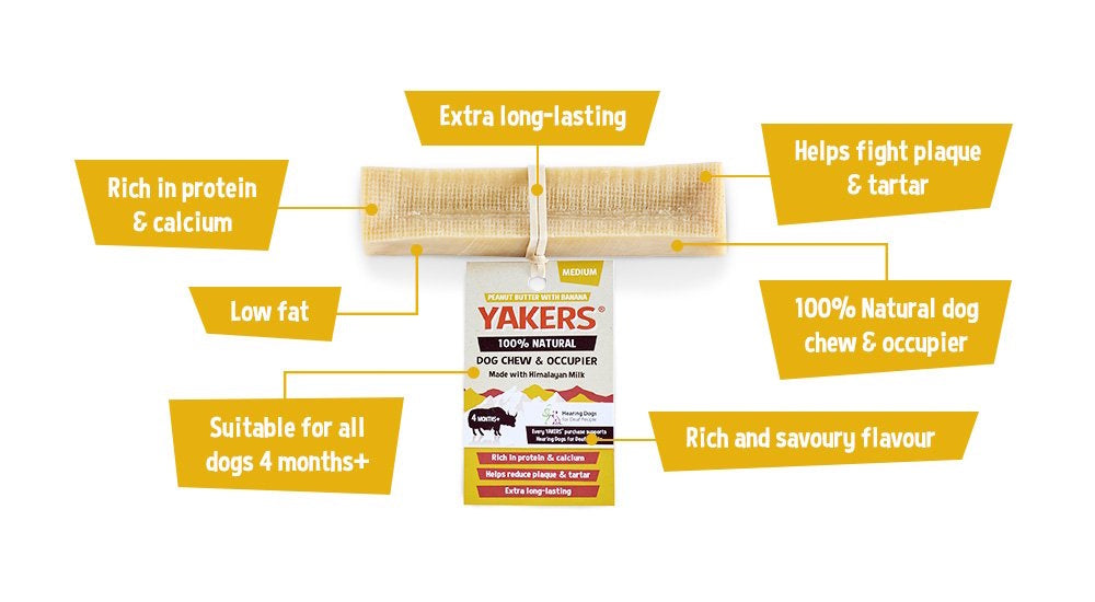 Yakers Peanut Butter & Banana Medium