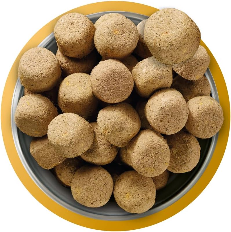 Natures Menu Raw Freeze Dried Chicken 625g – Natural High-Protein Raw Freeze Dried Dog Food