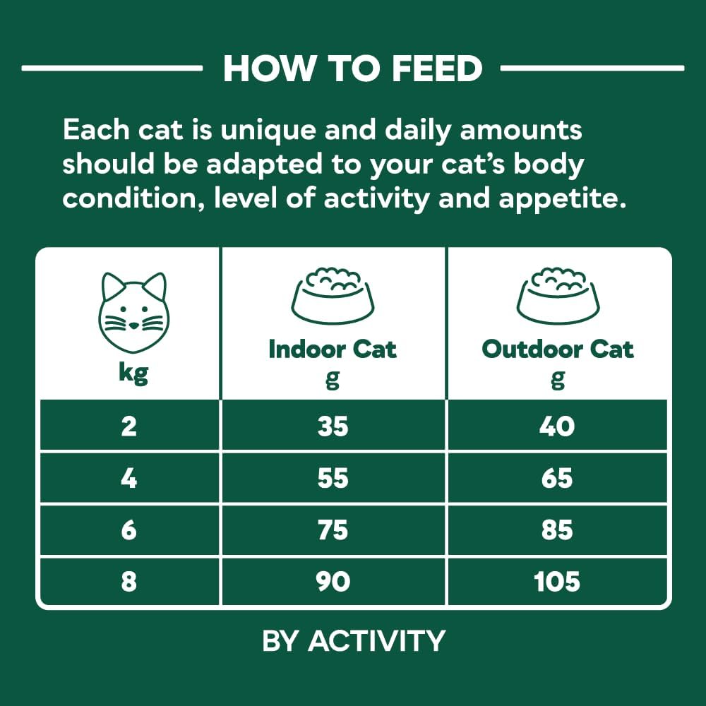 Natures Menu Cat Complete Food High Meat No Grain Salmon 3kg