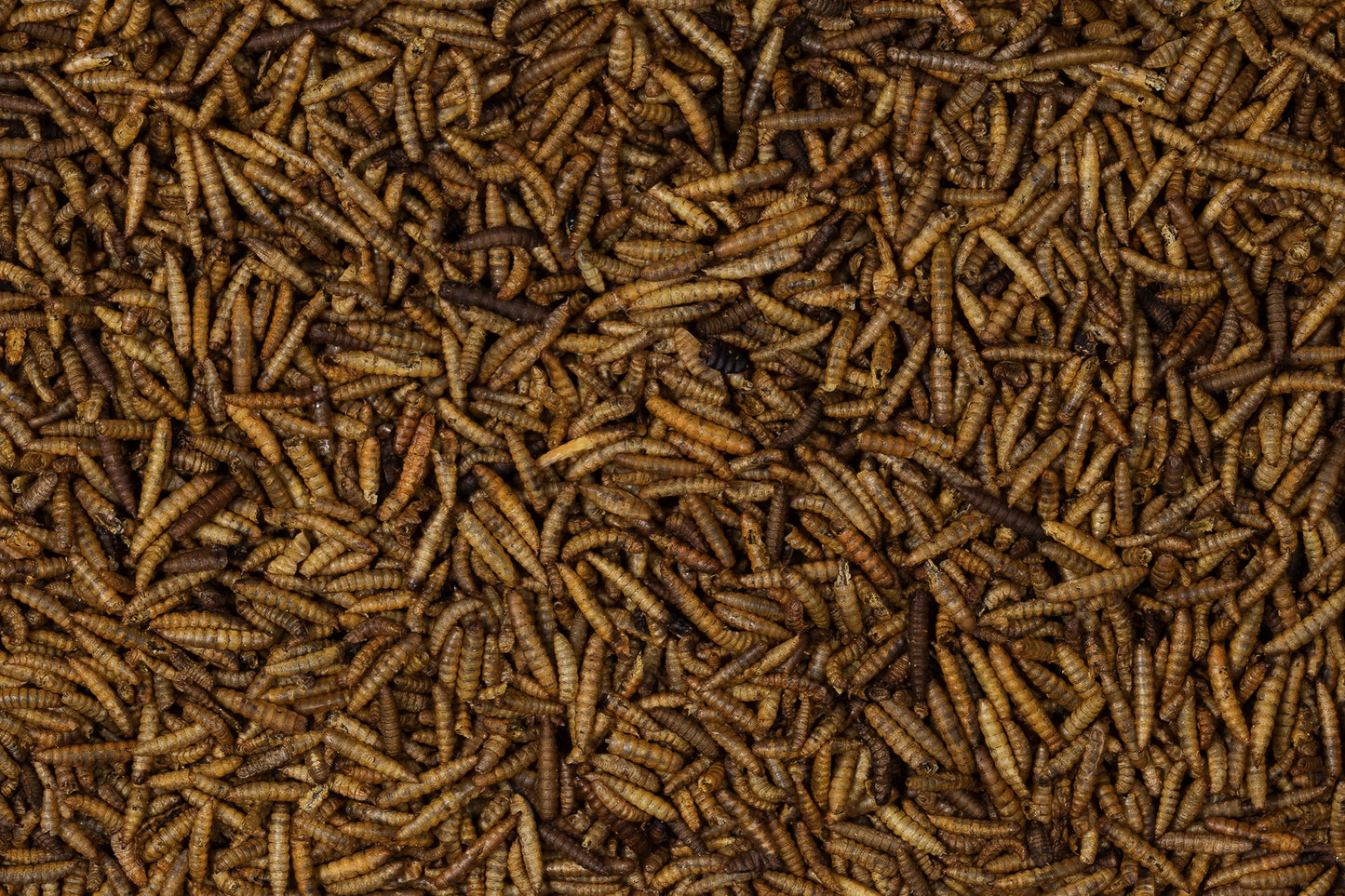 Johnston & Jeff Dried Calciworms Wild Bird Food 1kg