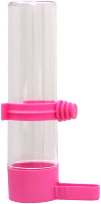 Beaks Small Fountain Drinker