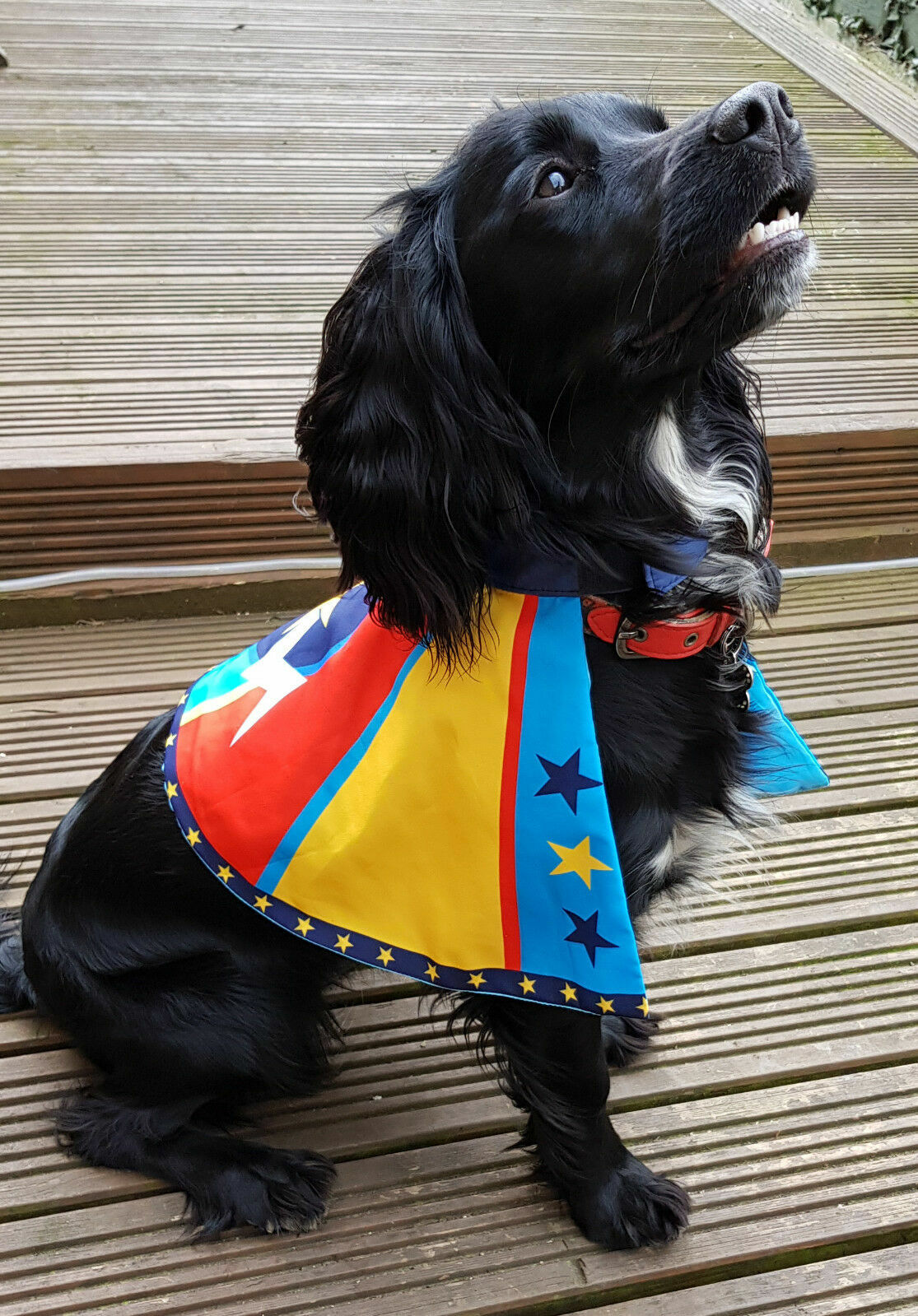 Dog Life Super Hero Cape & Blaster Dog Costume S/M