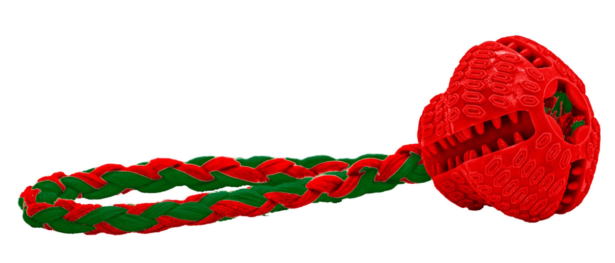 Dog Life Festive TPR Treat Bell With Rope Dog Toy
