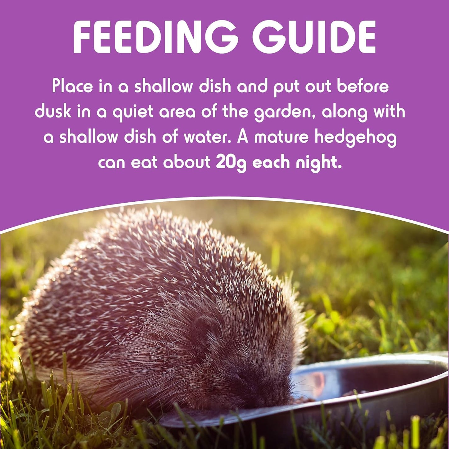 Spikes Tasty Semi-moist Hedgehog Food 550g