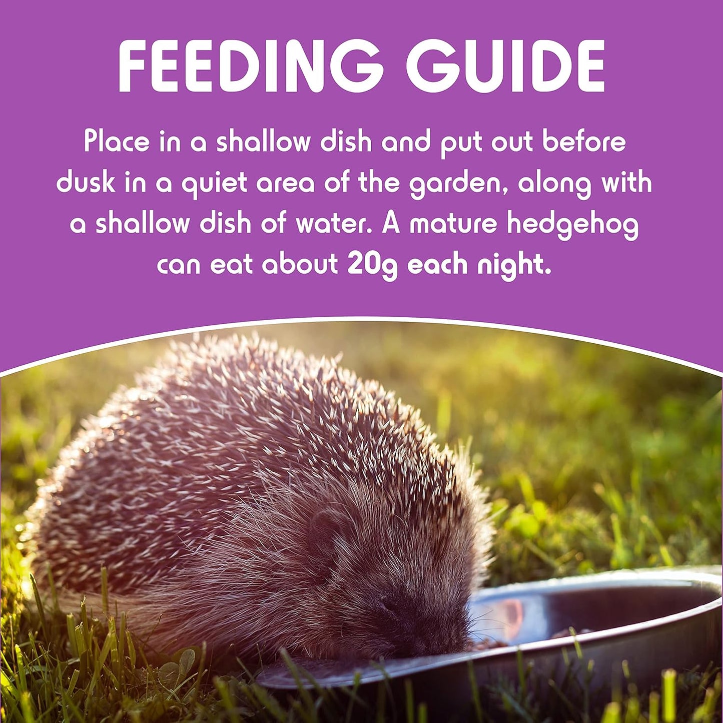 Spikes Semi Moist Hedgehog Food 1.3kg