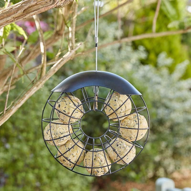 Zoon Ring Suet Ball Feeder