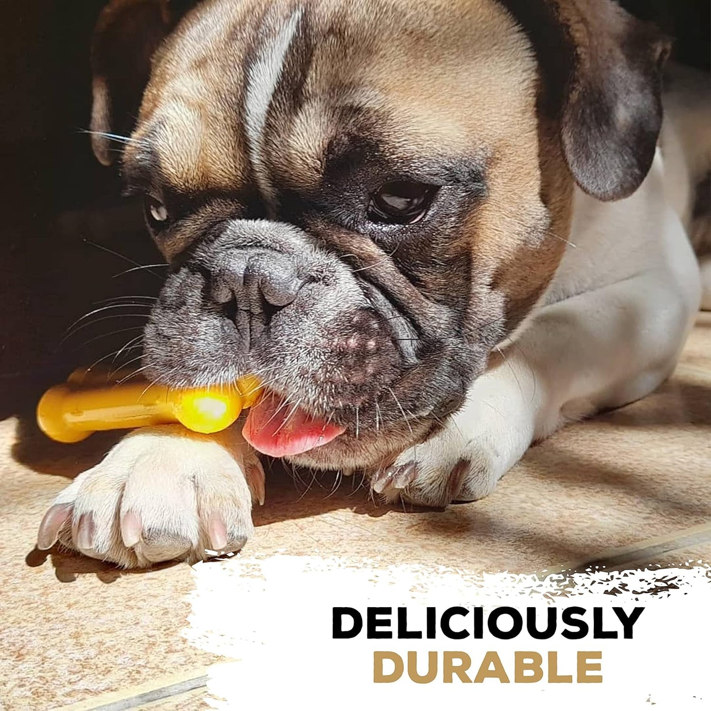 Tastybone Toy Dog Cheese