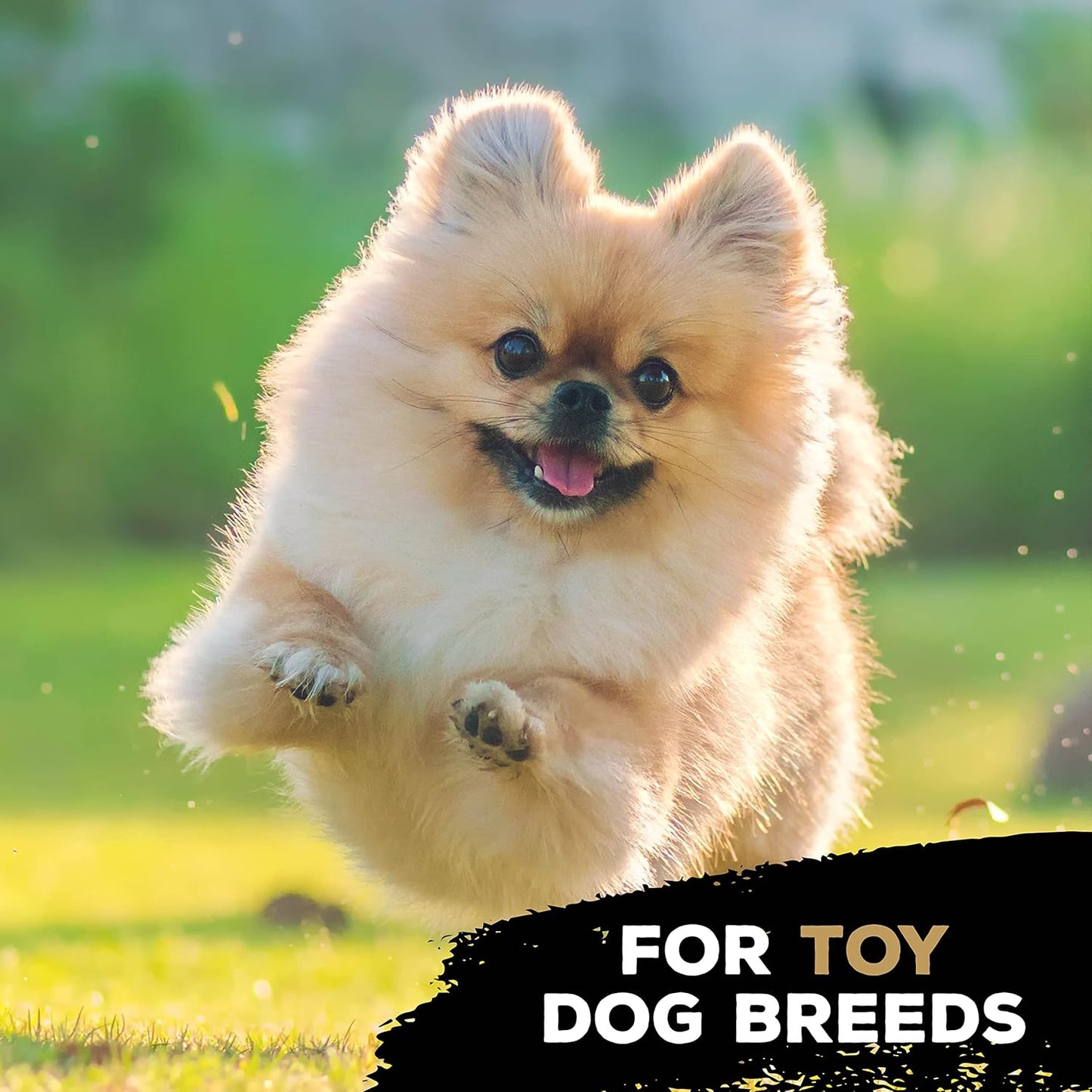 Tastybone Toy Dog Cheese