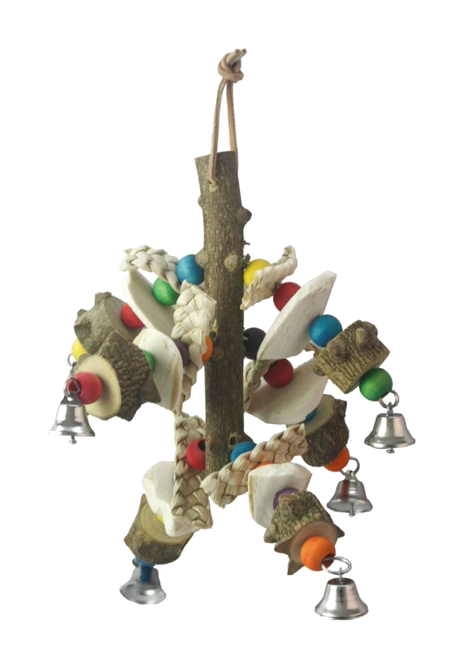 Adventure Bound Parrot Toy With Cuttlebone & Beads