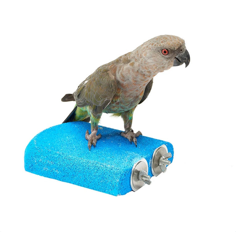 Sky Pets Sanded Perch Shelf